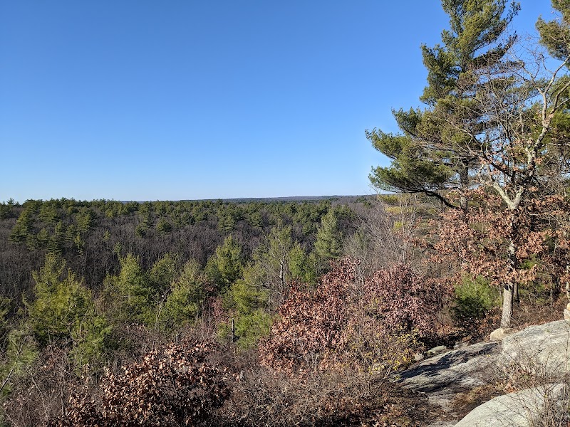 Peppercorn Hill Conservation Area