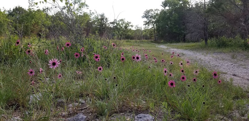 Couchville Cedar Glade State Natural Area