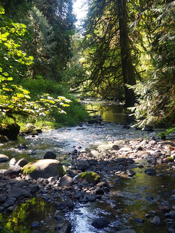 Cazadero Trail