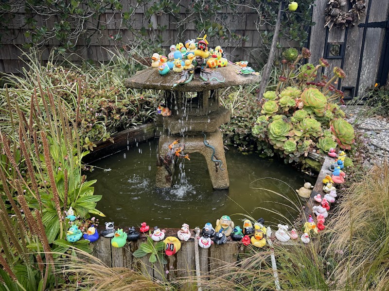 Duck Fountain
