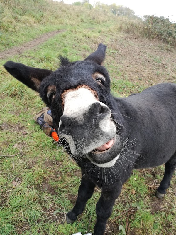 Lightmoor Nature Reserve