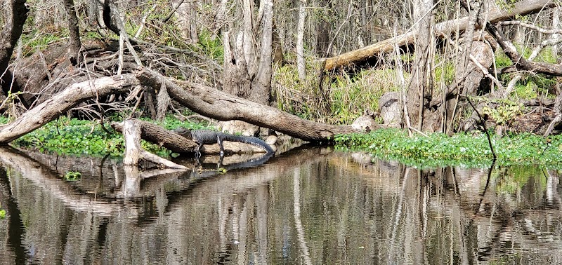 John B Sargeant Sr Park