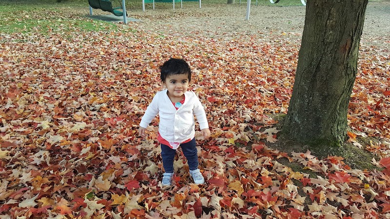 Madison Park