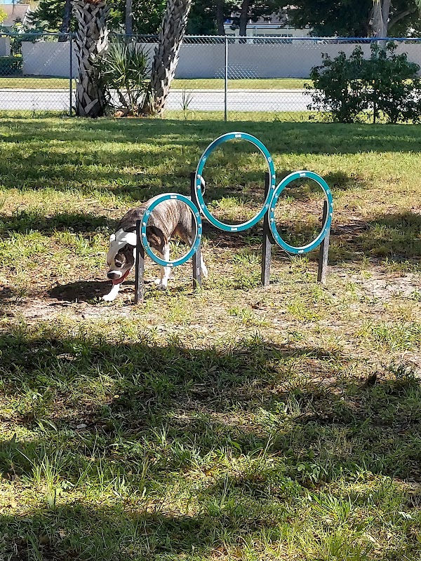 Parker’s Landing Dog Park