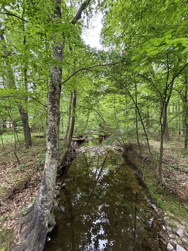 East Fork Mine Creek Trail Head