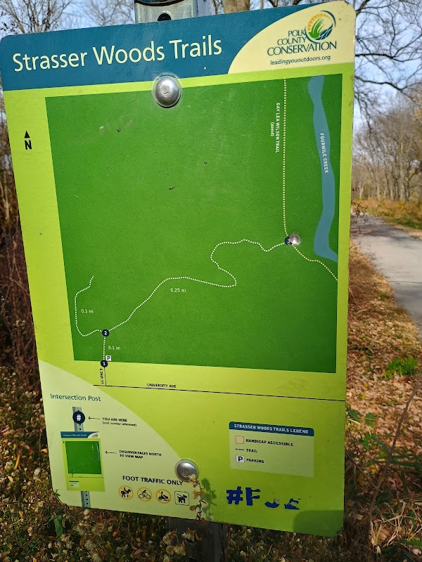 Strasser Woods Trails #3