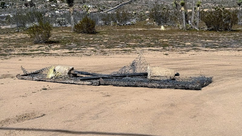 Regal.inspiring.thickness