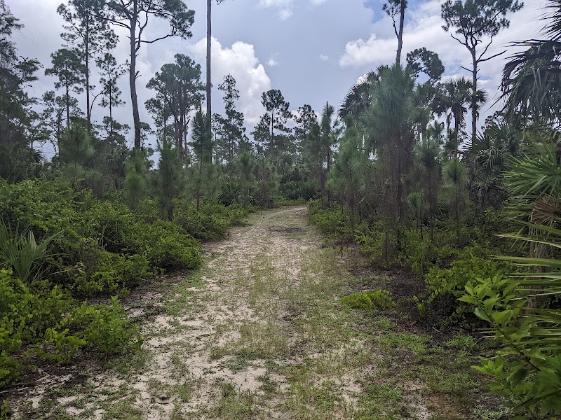 Nancy Payton Preserve