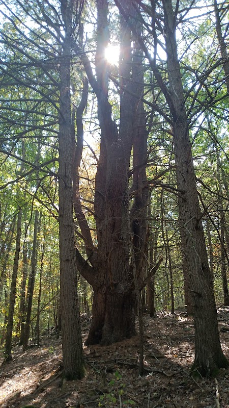 Sweet Trail Southern Terminus
