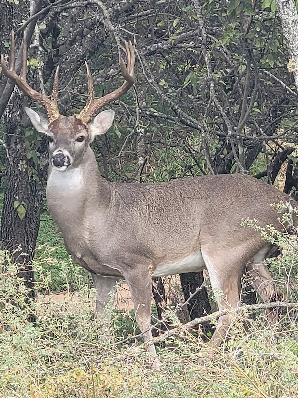 MainLand Trail Head
