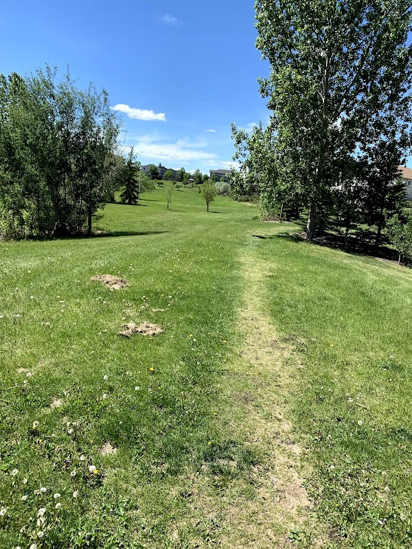 Park And Pedestrian Walkway