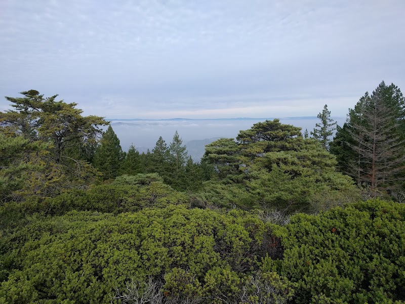 Mount Tamalpais Game Refuge