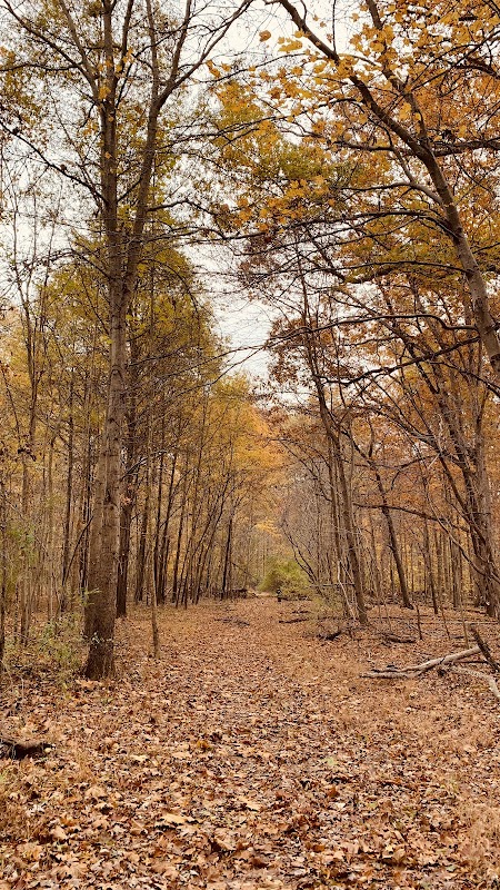 Horsepen Run - CountrySide Nature Preserve
