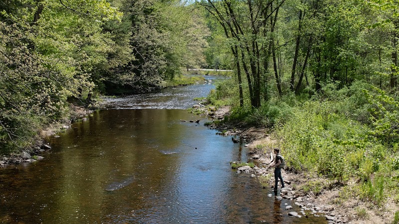 Lang Station State Forest