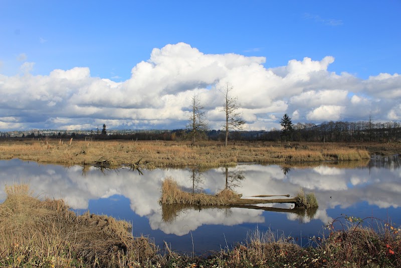 Smith Island Habitat and Wildlife Viewing Area