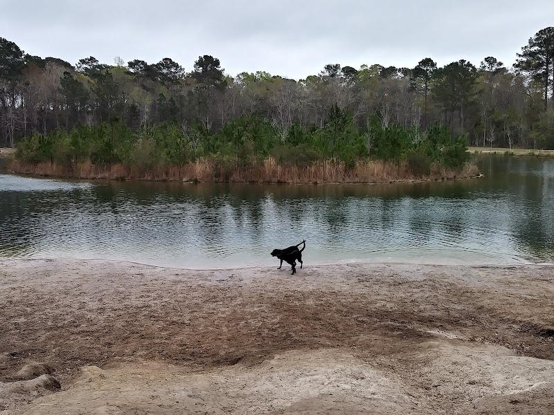 Burton Wells Dog Park