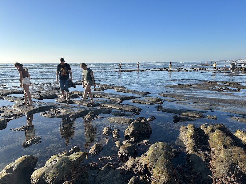 Carlsbad Tide Pools
