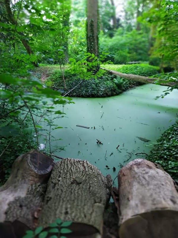 Pastorietuin Roosbeek