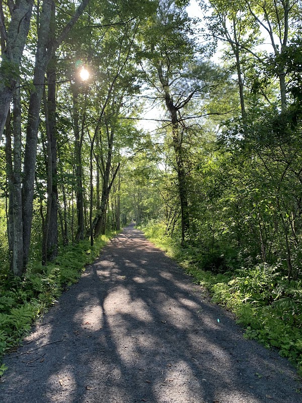 Bog Meadow Brook Nature Trail