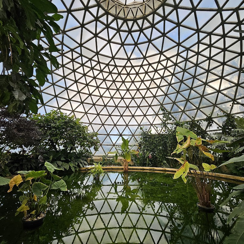 Tropical Display Dome