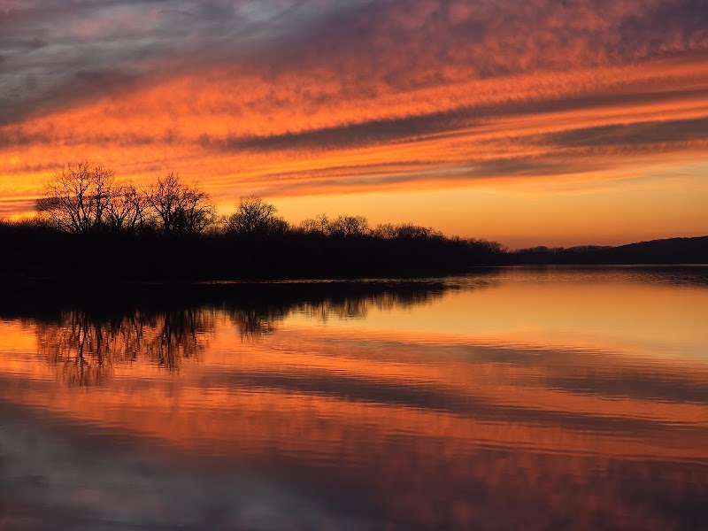 Saganashkee Slough Woods