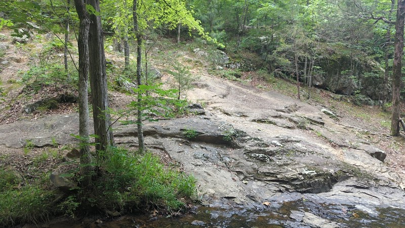 Cedar Falls Creek