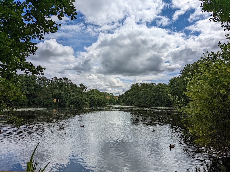 Dothill & Shawbirch Local Nature Reserve