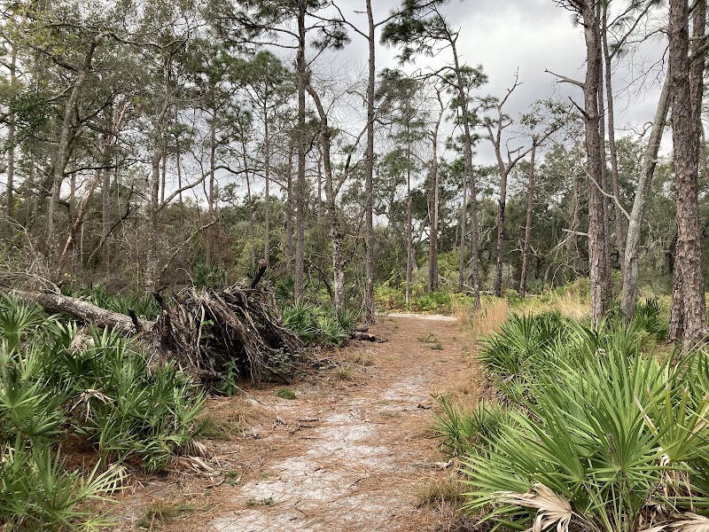 Johnson Preserve at Braden River