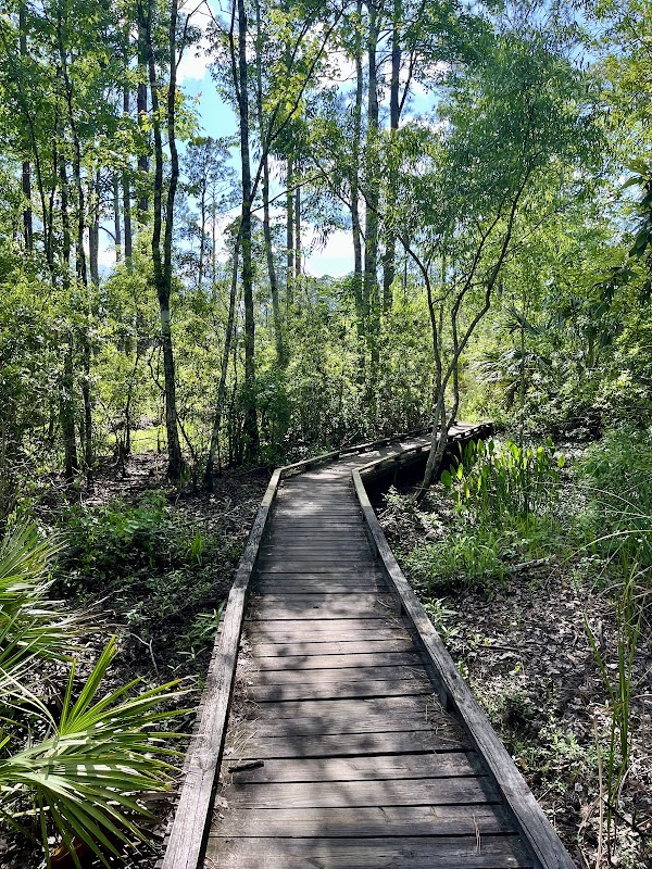 Tillie Fowler Park Loop Trailhead