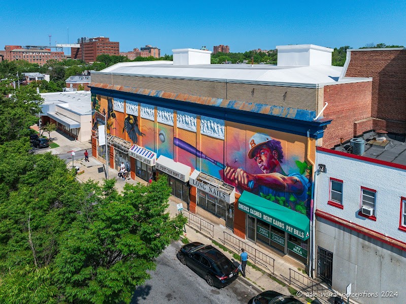 Birdland Wall Mural / Baltimore Orioles