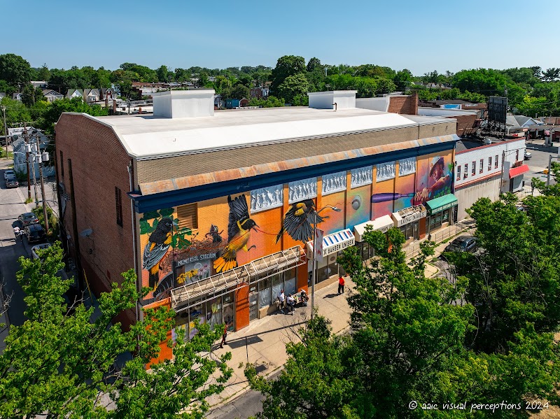 Birdland Wall Mural / Baltimore Orioles