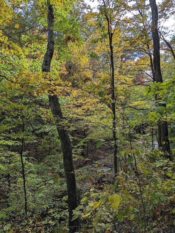 Beaman Park Creekside Trail Head