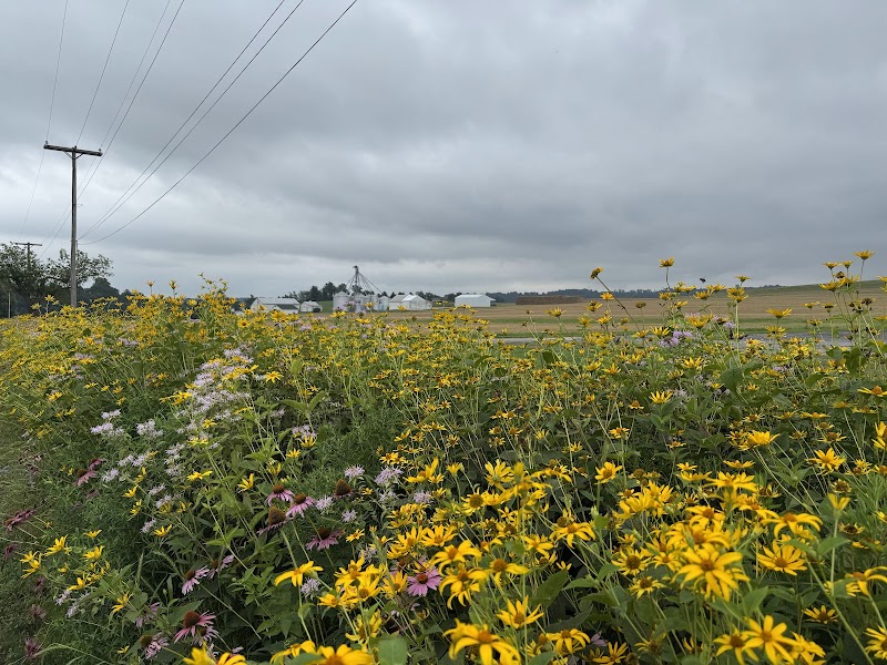 Jackson Township community park