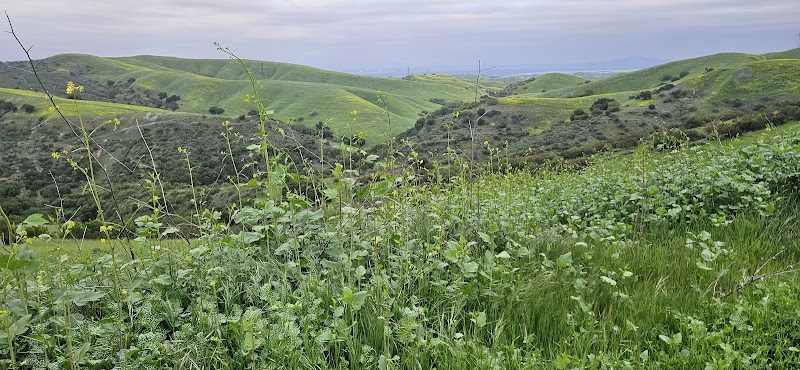 N Ridge Trailhead