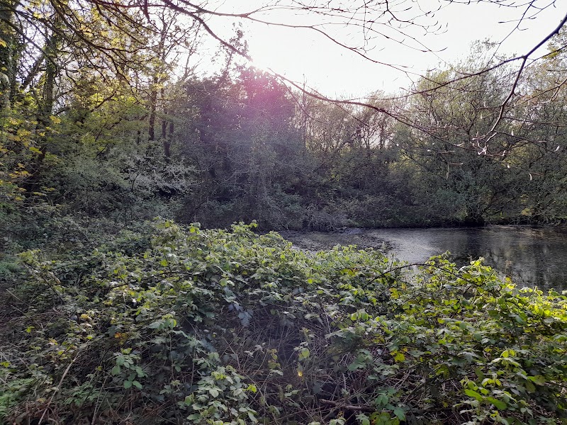 Nature Reserve