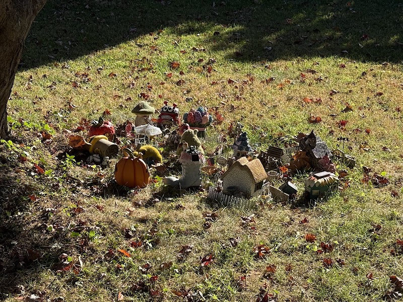 Old Glebe Fairy garden