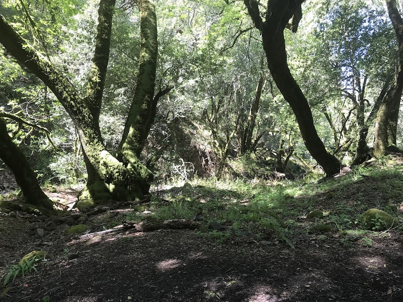 Fairfield Osborn Preserve