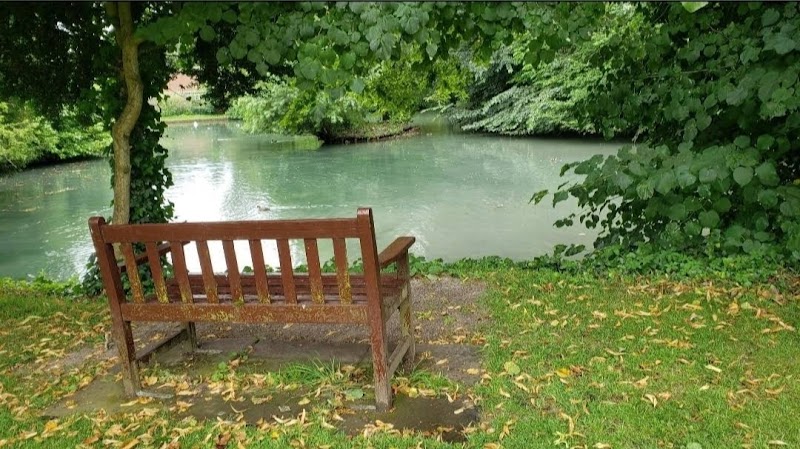 Holybourne Church Pond