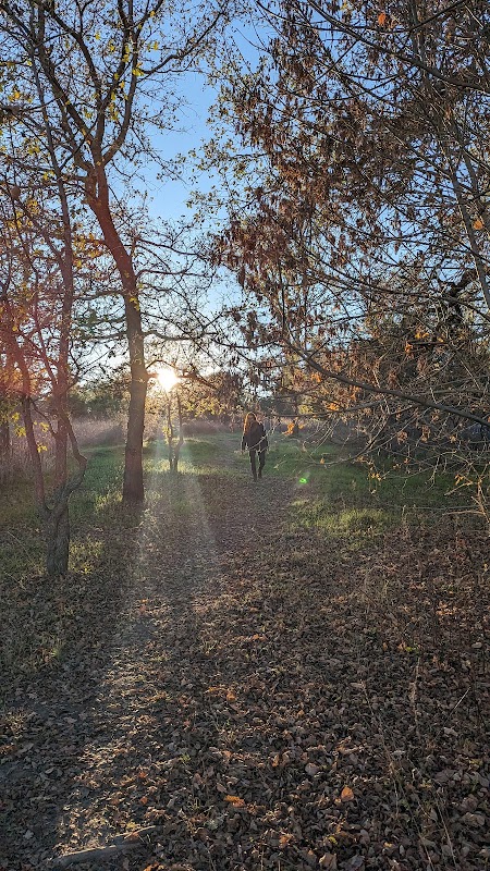 Laguna Uplands Preserve