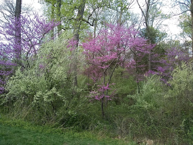 Vestals Gap Overlook Park