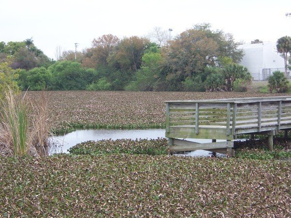 Robinson Lake