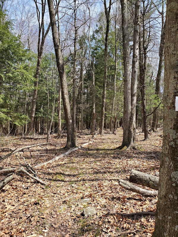 Winsor Woods Trailhead