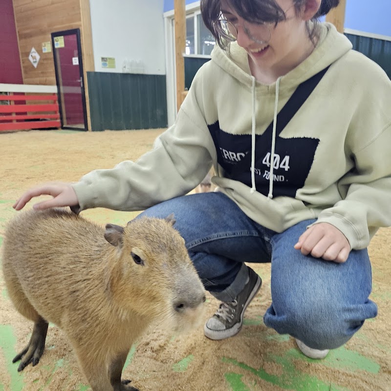 Debbie Dolittle's Petting Zoo