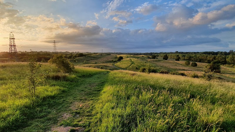 Countess of Chester Country Park