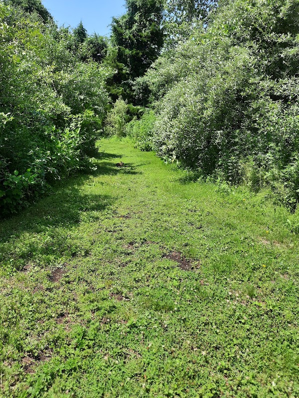 Allamuchy Township Nature Trail