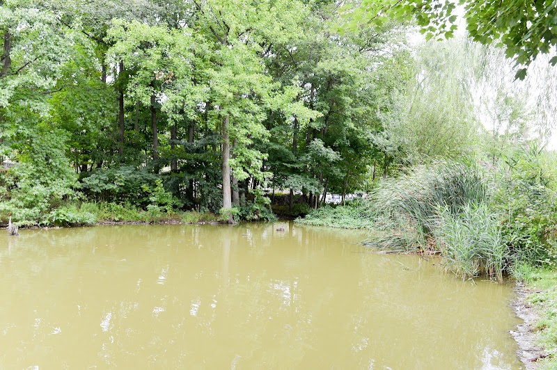Reed's Basket Willow Swamp Park