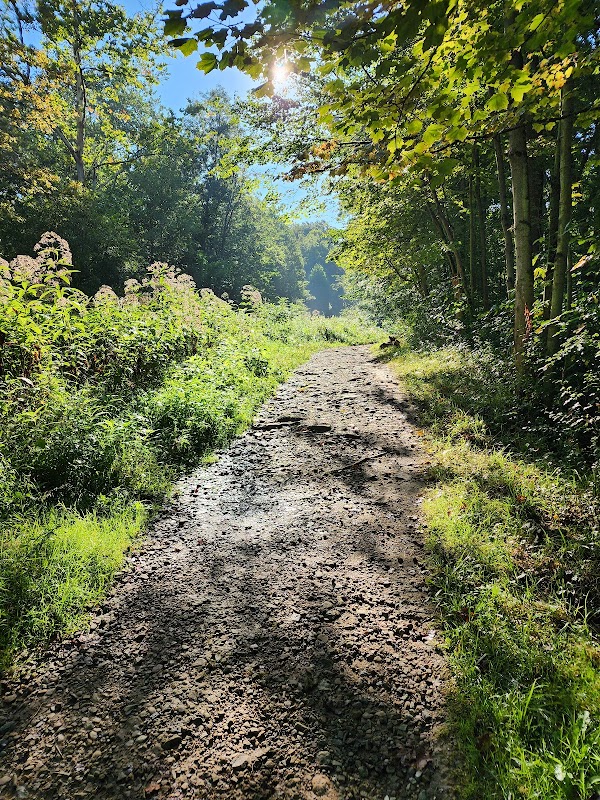 Waldo Semon Woods Conservation Area