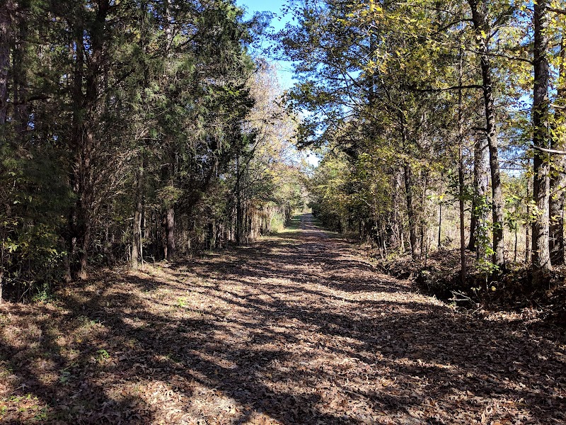 Buffalo Creek Preserve