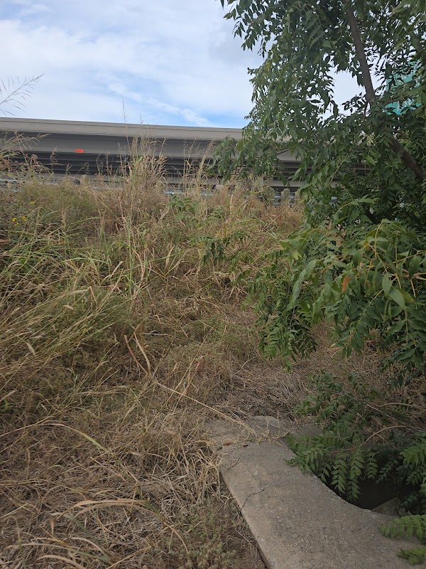 Leander dinosaur trail entry