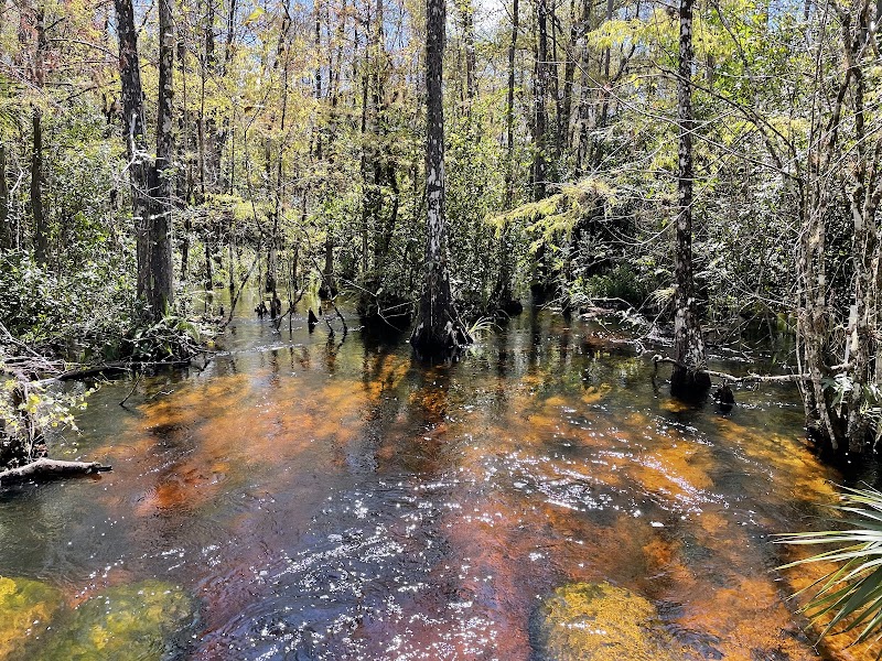 Fakahatchee Strand Preserve Park Office/Ranger Station
